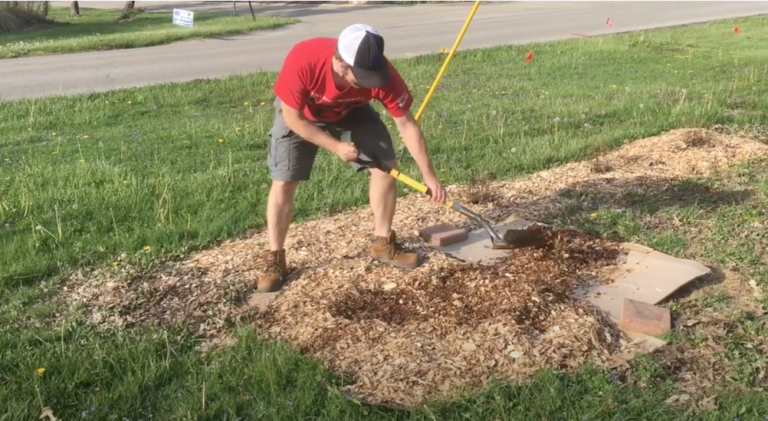 How to Plant Fruit Trees in Clay Soil – wanderingstarfarmhouse.com